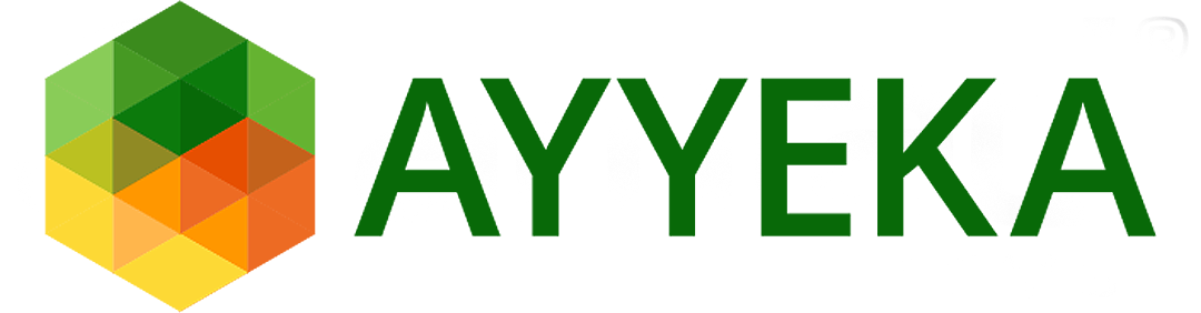 logo ayyeka