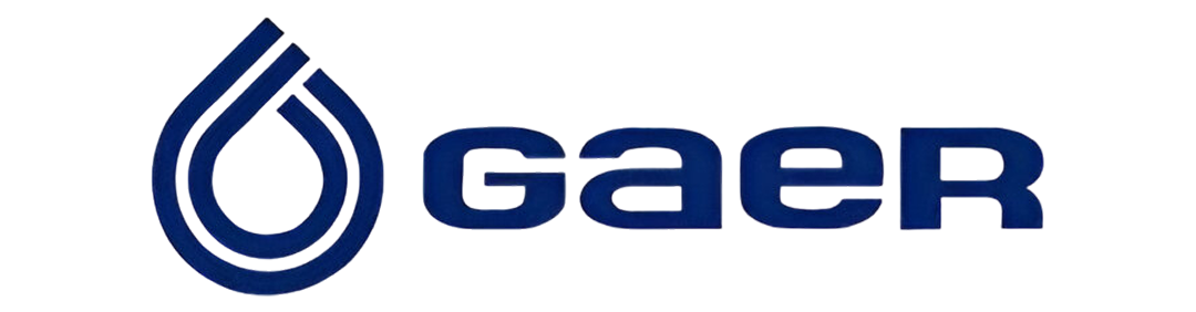 logo gaer